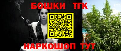 скорость Бердск