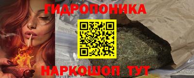 скорость Бердск