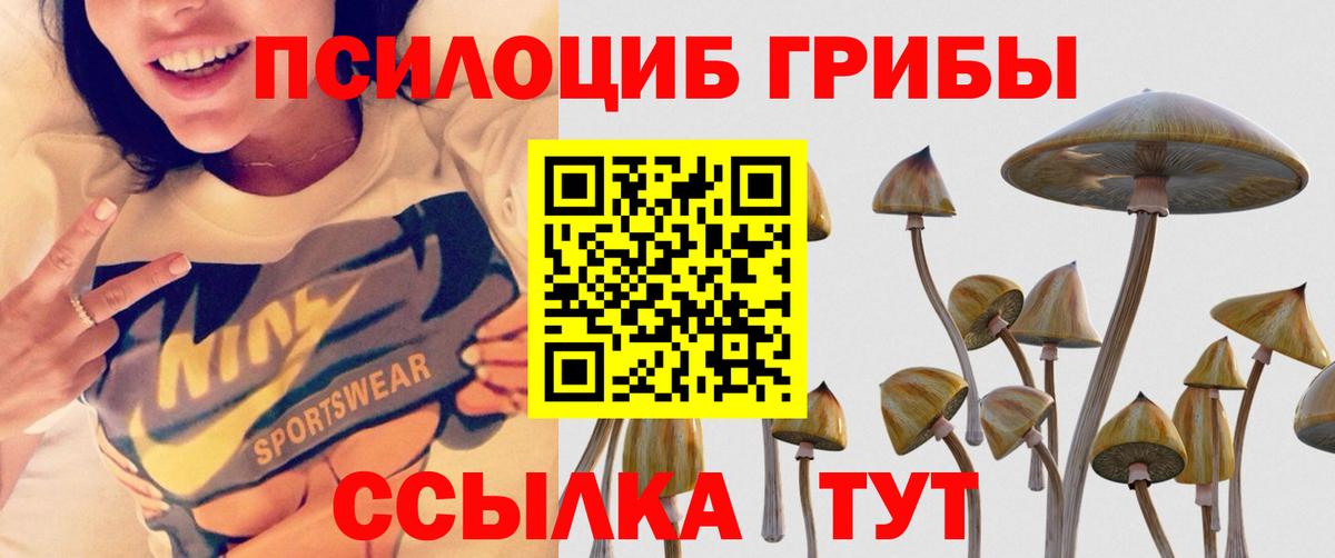 Псилоцибиновые грибы GOLDEN TEACHER Асбест